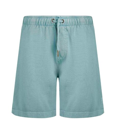 Mens hamilton sunwashed shorts mineral blue Weird Fish