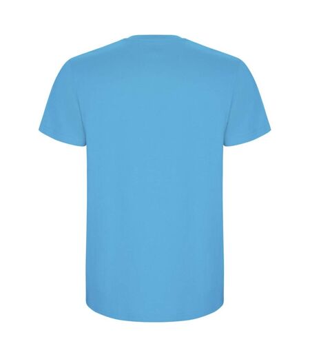 Roly - T-shirt STAFFORD - Homme (Turquoise vif) - UTPF4347