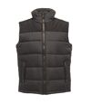 Regatta Altoona - Veste sans manches - Homme (Gris/Noir) - UTBC3038