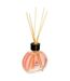 Diffuseur de Parfum & 6 Bâtonnets Haly 50ml Framboise-1
