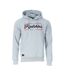 Sweat bleu clair homme redskins hoodie-1