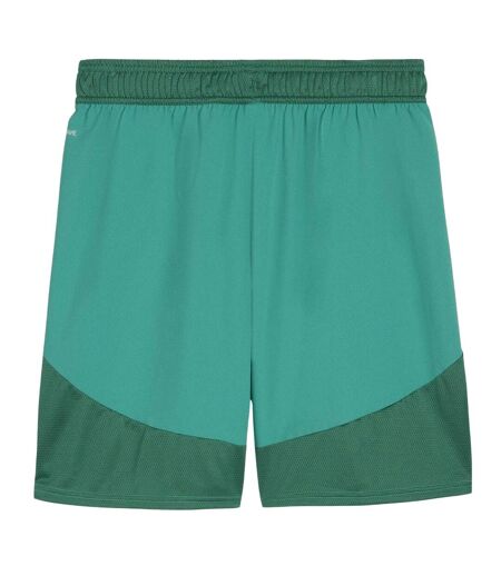 Mens Teamfinal Football Shorts Sport Green White Puma