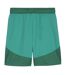 Mens Teamfinal Football Shorts Sport Green White Puma-2
