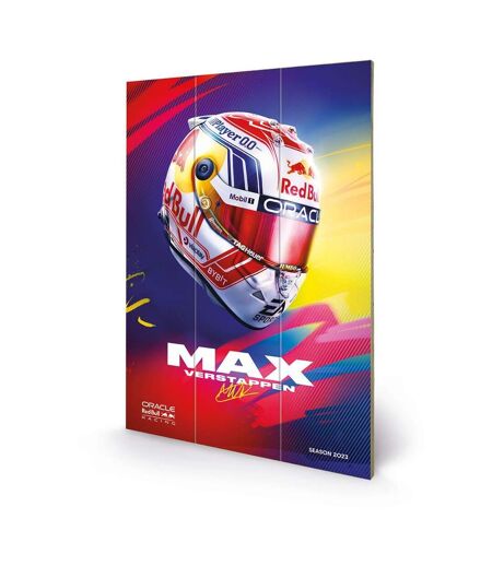 Max Verstappen - Plaque (Multicolore) (59 cm x 40 cm) - UTPM8672