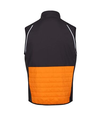 Regatta Mens Steren Hybrid Soft Shell Jacket (Orange Pepper/Ash)
