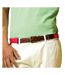 Asquith & Fox Mens Faux Leather And Canvas Belt (Cherry Red) - UTRW6144-1