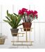 Plateau Décoratif 3 Niveaux Jade 36cm Or-5