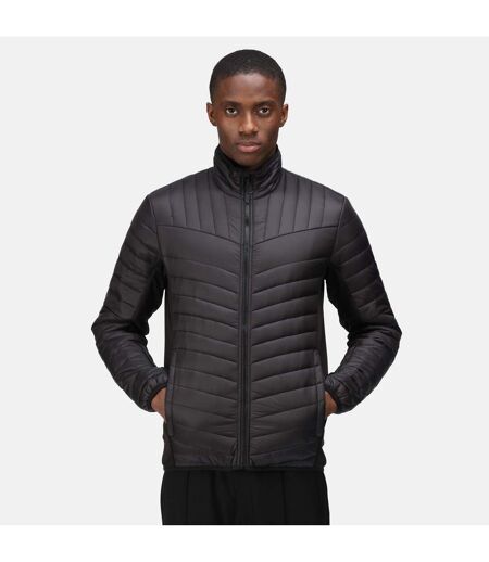 Veste Tourer Homme Noir Regatta