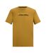 Mens Fingal Slogan Mountain T-shirt Wood Brown Regatta-2