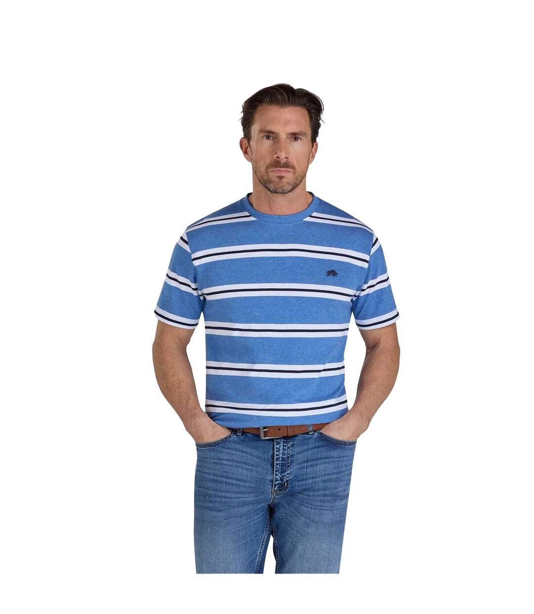 Mens Stripe Yarn Dyed T-shirt Blue Raging Bull-1