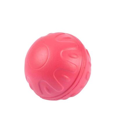 Jouet pour Chien Balle Fitness Eva 7cm Rouge