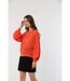 Pull manches longues coton regular CALIO-2