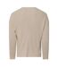 Pull Motif/style Côtelé Homme Crème Replay-2