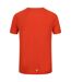 Regatta - T-shirt AMBULO - Homme (Rouge orangé) - UTRG9363