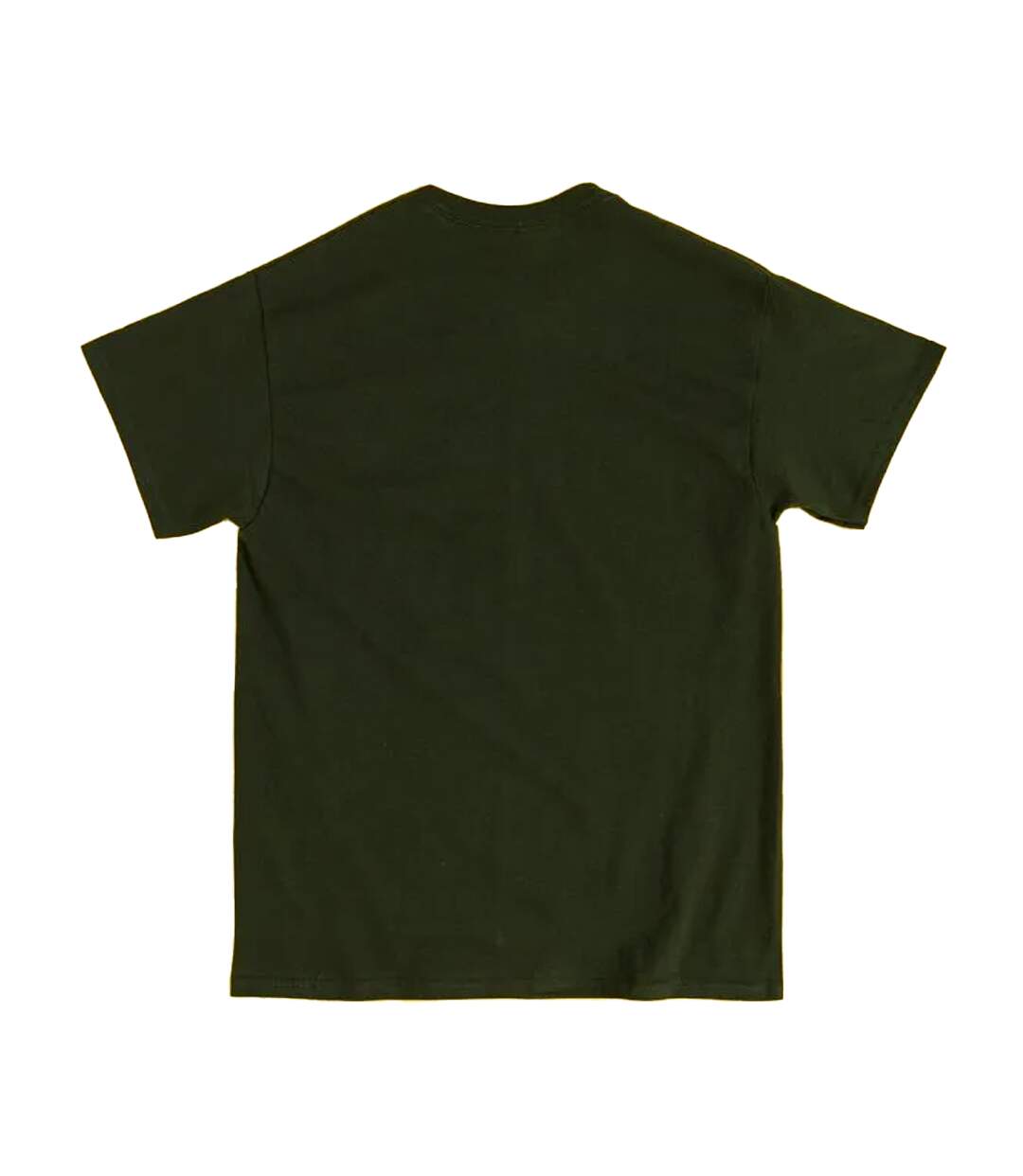 T-shirt Motif Dragon Vert Motif/style Brodé Adulte Vert The Lord Of The Rings-3