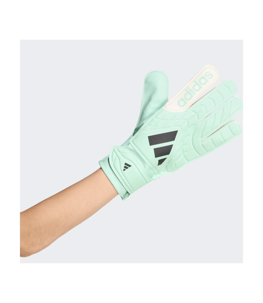 Gants De Gardien De But Copa Club Adulte Vert Adidas-3