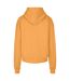 Build Your Brand - Sweat à capuche - Homme (Orange) - UTRW8371