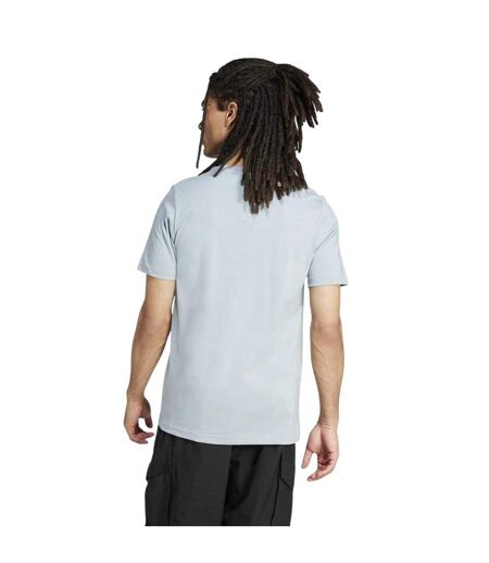 Mens Terrex Graphic T-shirt Light Grey Adidas