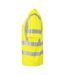 Polo Homme Jaune Projob-3