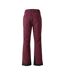 Pantalon De Ski Baseplate Homme Figue Dare 2B-3