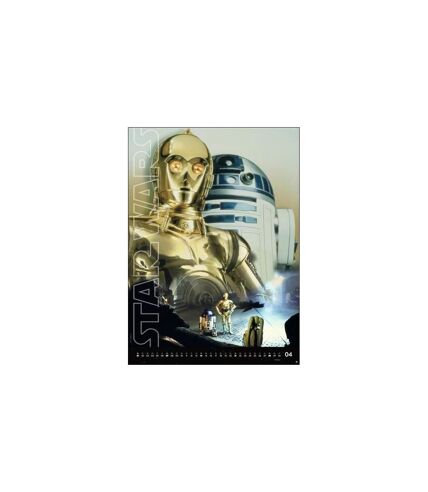 Star Wars - Poster encadré DROIDS KEY ART (Multicolore) (40 cm x 30 cm) - UTPM8729