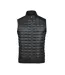 Veste Sans Manches Appalachian Homme Noir Stormtech-2