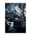 Giant spider outdoor wall decoration set one size black/white Smiffys-1