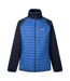 Veste Hybride À Col Montant Clumber Homme Bleu Roi Bleu Marine Regatta-2