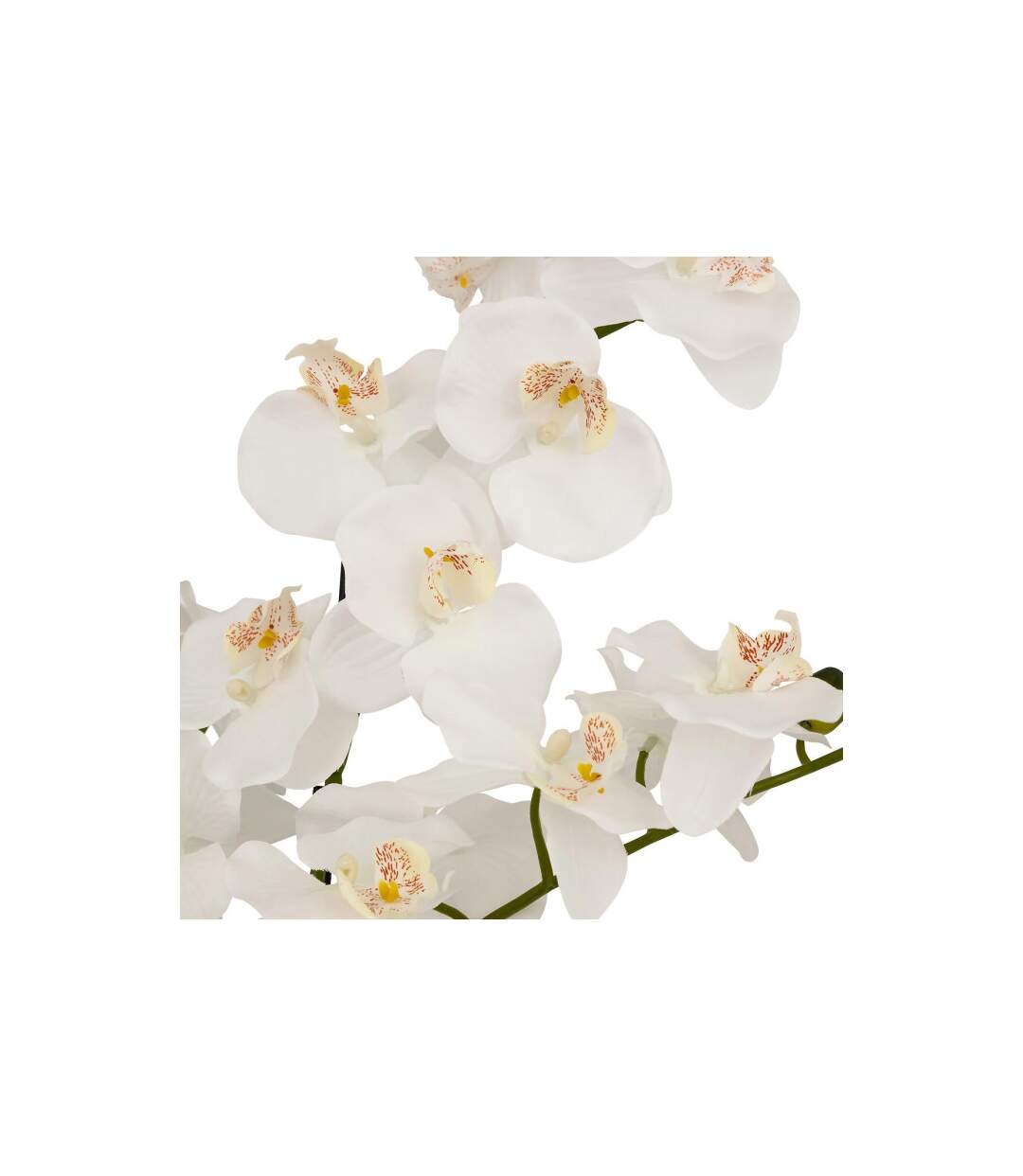Orchidée Artificielle en Pot Mick 80cm Blanc-3