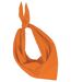 Lot de 10 bandanas fiesta - orange