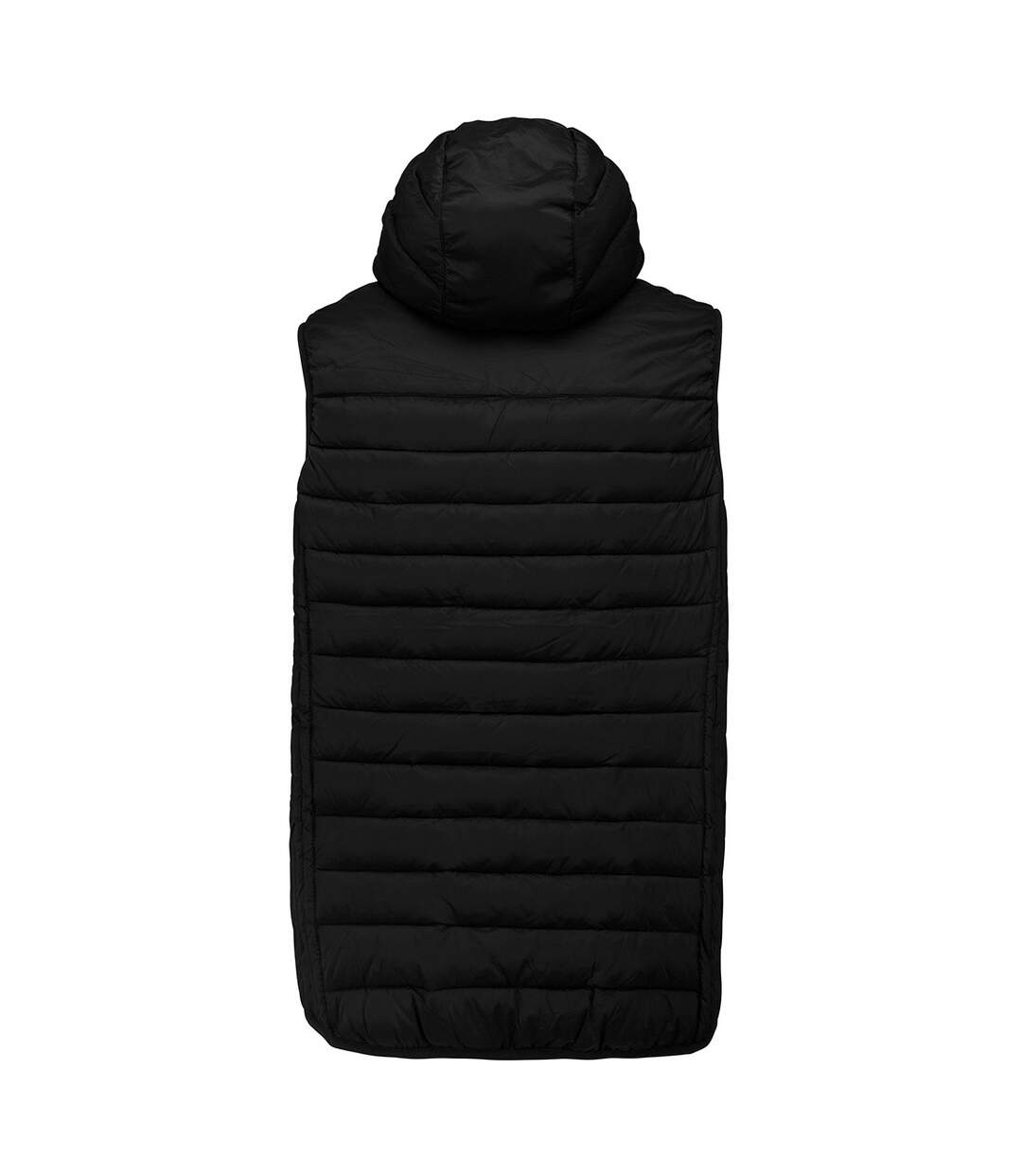 Proact Bodywarmer rembourré à capuche pour hommes (Noir) - UTPC4041