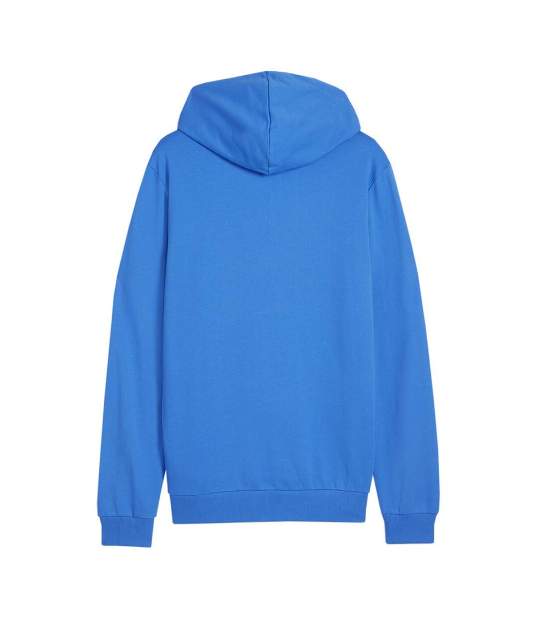 Sweat À Capuche Team Goal Homme Bleu Puma-2