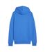Sweat À Capuche Team Goal Homme Bleu Puma-2
