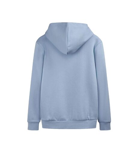 Sweat à capuche bleu homme teddy smith narks
