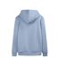Sweat à capuche bleu homme teddy smith narks-2