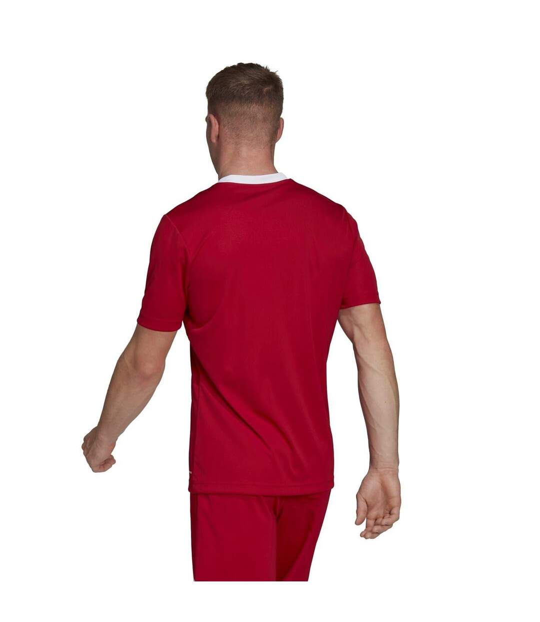 Maillot Entrada Homme Rouge Adidas-4