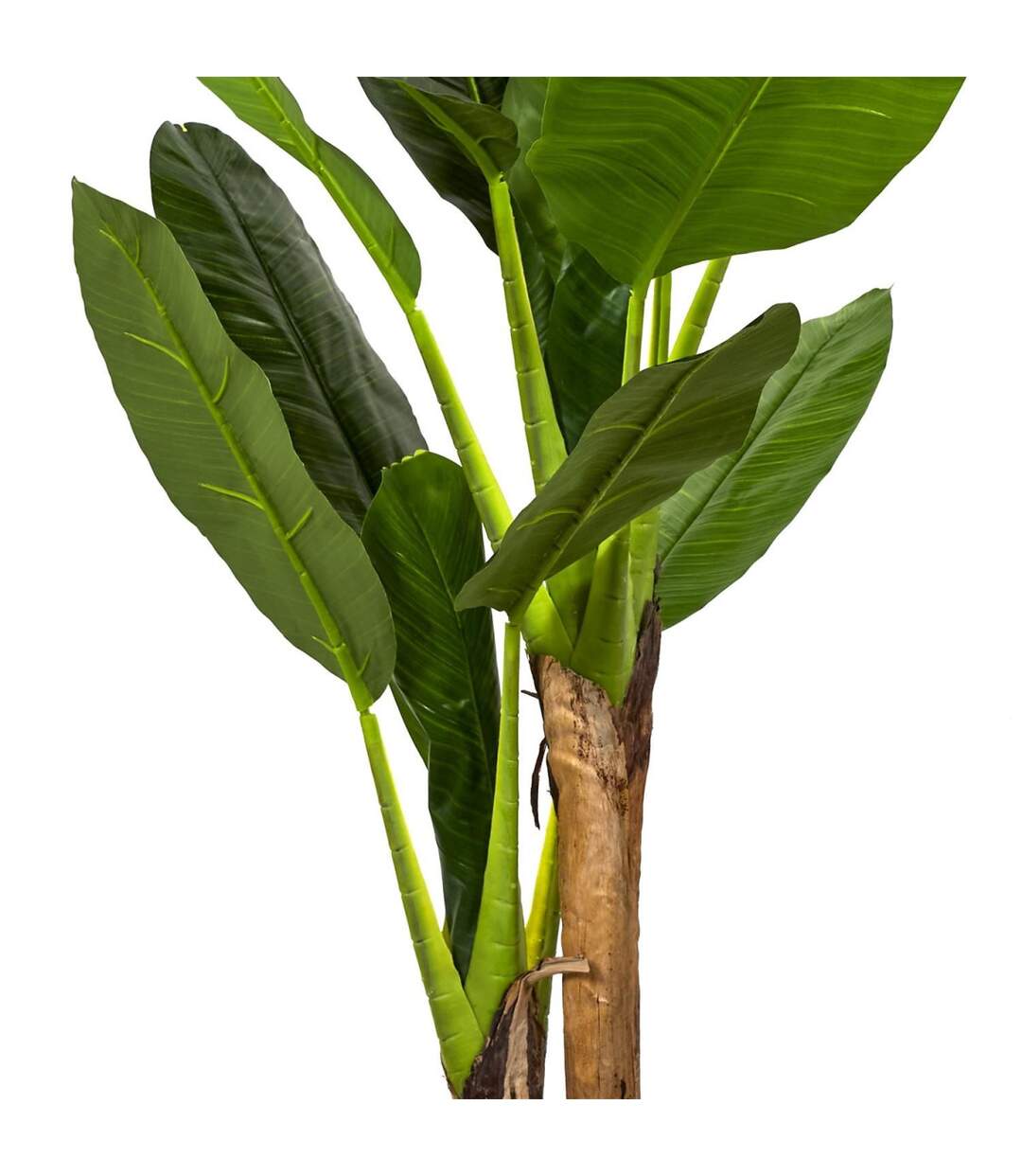 Plante Artificielle XXL Bananier 160cm Vert-2