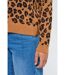 Pull Cardipar Camel-4