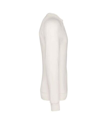 Native Spirit Unisex Adult Raglan Sweatshirt (Ivory) - UTPC6798