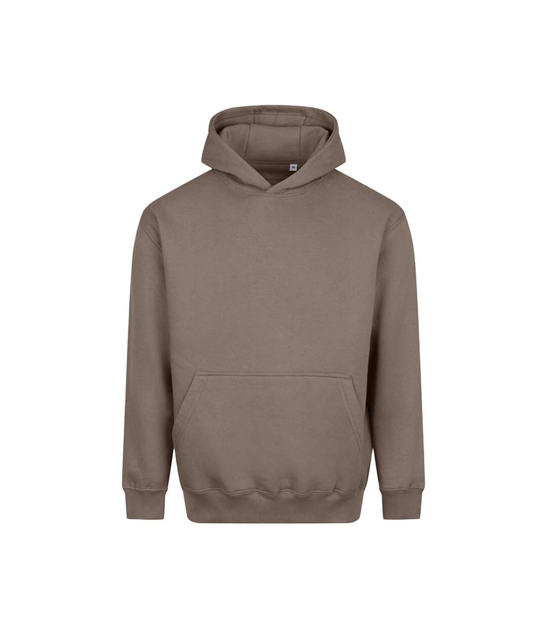 Sweat À Capuche Vision Homme Beige Argile Awdis-1