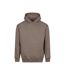 Sweat À Capuche Vision Homme Beige Argile Awdis-1