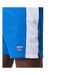 Short De Bain Volley Homme Bleu Speedo-4