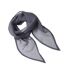Écharpe Femme Taille Unique Gris Acier Premier-2
