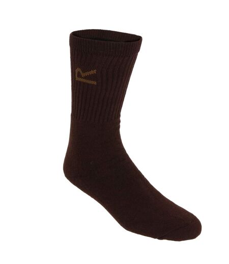 Lot de 3  Chaussettes paires homme marron marne Regatta