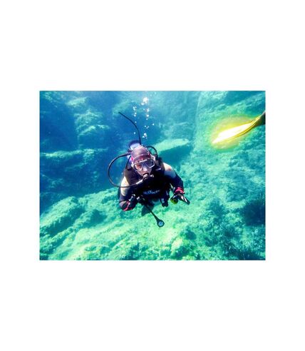 6h d’aventure sous-marine : baptême de plongée et randonnée palmée autonome à Fréjus - SMARTBOX - Coffret Cadeau Sport & Aventure
