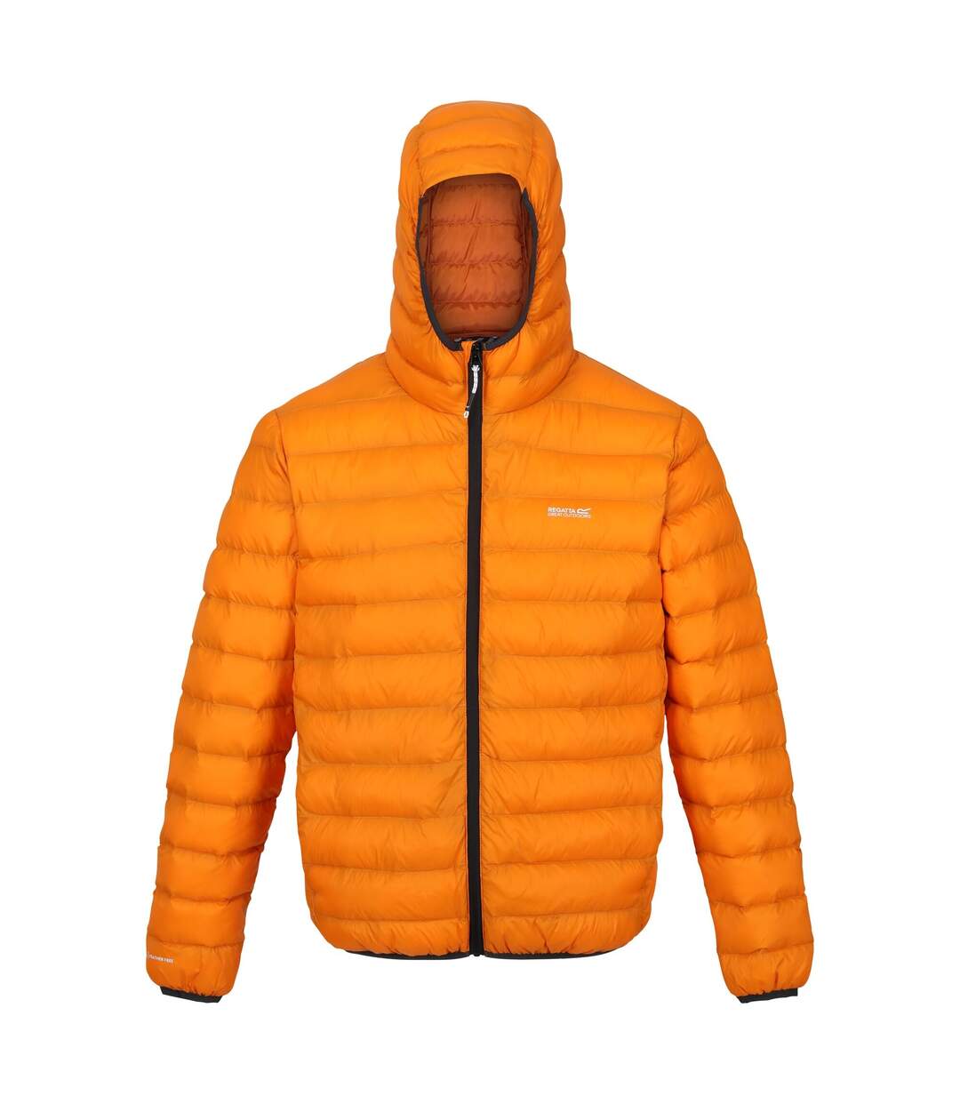 Doudoune Matelassée Marizion Homme Orange Orange Brûlé Regatta-2