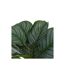 Plante Artificielle en Pot Maranta 45cm Vert