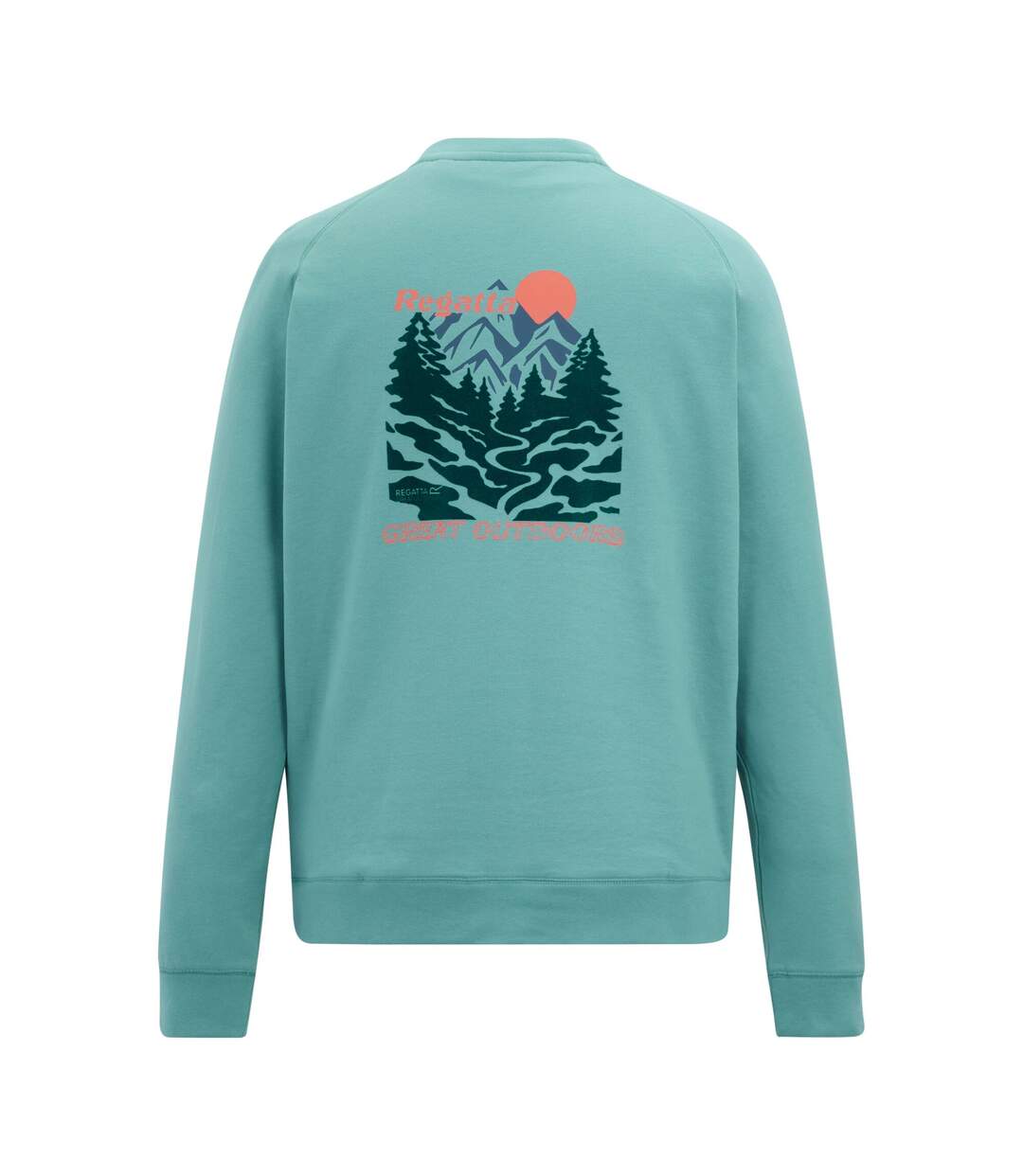 Mens Nithsdale Back Print Sweatshirt Arctic Green Regatta-3