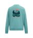 Mens Nithsdale Back Print Sweatshirt Arctic Green Regatta-3