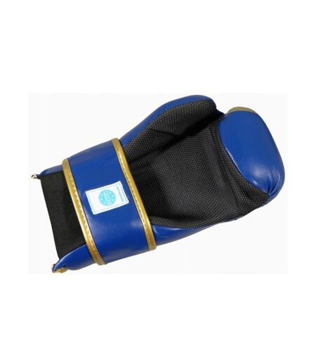 Gants De Boxe Rosm  Bleu Masters